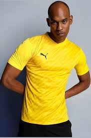 Premium Cotton T-Shirt